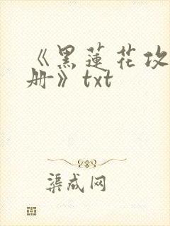 《黑莲花攻略手册》txt