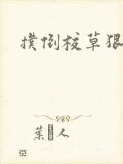 扑倒校草狠狠亲