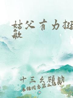 姑父有力挺送赵敏