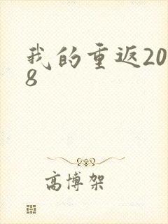 我的重返2008