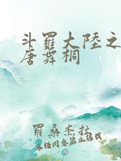 斗罗大陆之肉奴唐舞桐