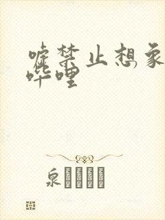 嘘禁止想象哔哩哔哩