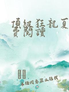 顶级狂龙夏天免费阅读