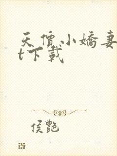 天价小娇妻txt下载