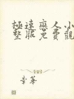 极速恋人小说完整版免费观看