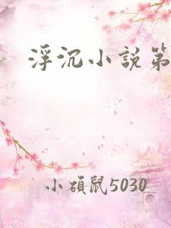 浮沉小说第二部