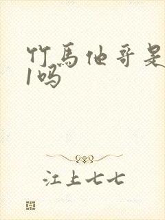 竹马他哥是1v1吗