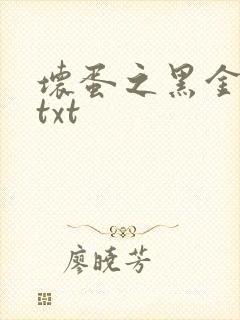 坏蛋之黑金帝国txt