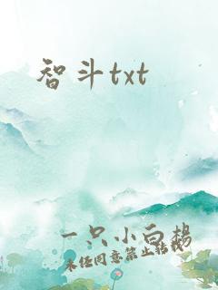 智斗txt