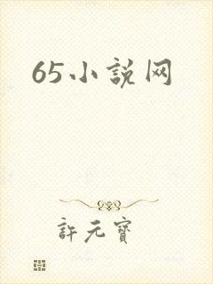 65小说网