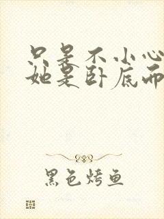 只是不小心发现她是卧底而已