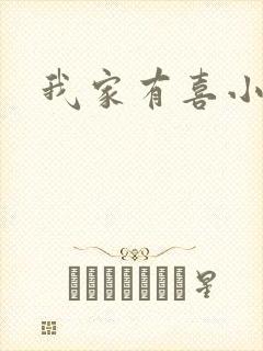 我家有喜小说