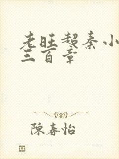 老旺超秦小雨第三百章