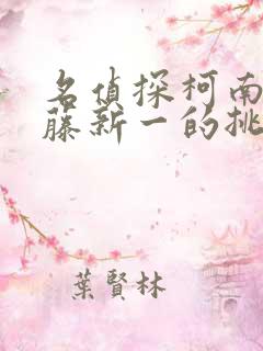 名侦探柯南给工藤新一的挑战书