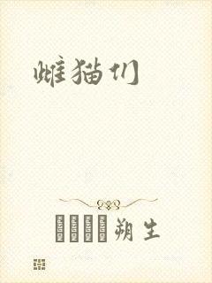 雌猫们