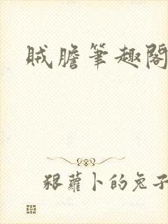 贼胆笔趣阁