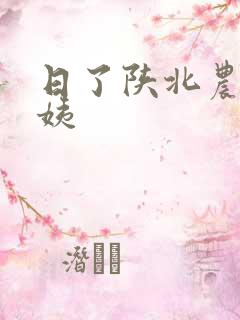 日了陕北农村婆姨