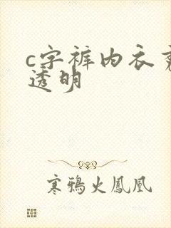 c字裤内衣秀全透明