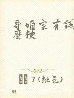 哥咱家有钱了什么梗