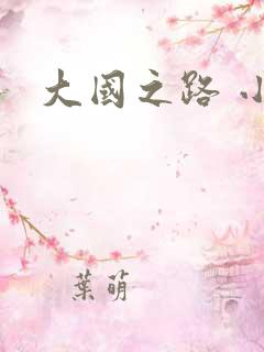 大国之路 小说