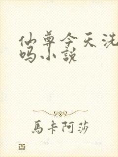 仙尊今天洗白了吗小说
