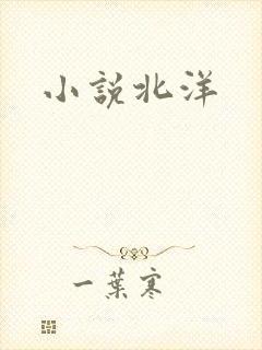 小说北洋