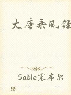 大唐乘风录