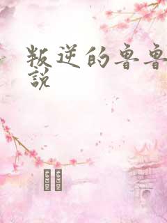 叛逆的鲁鲁修小说