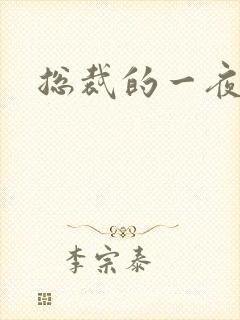 总裁的一夜情人