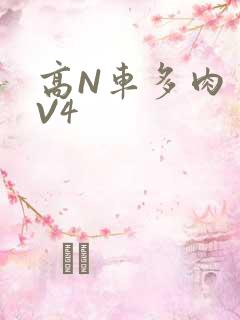 高N车多肉多1V4