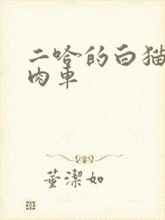 二哈的白猫师尊肉车