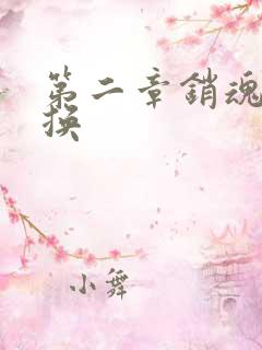 第二章销魂的交换