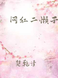 网红二懒子车祸