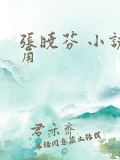 张晓芬 小说主角