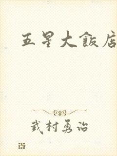五星大饭店小说