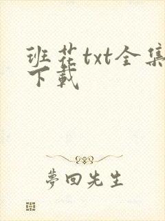 班花txt全集下载