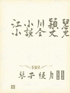 江小川颖儿穿越小说全文免费阅读