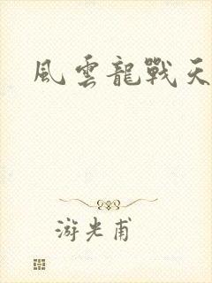 风云龙战天下