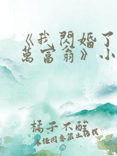 《我闪婚了个亿万富翁》小说