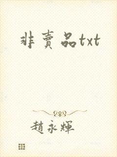 非卖品txt