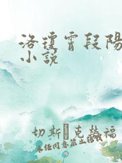 洛琼霄段阳澍的小说