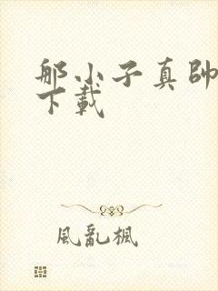 那小子真帅小说下载