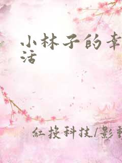 小林子的幸福生活