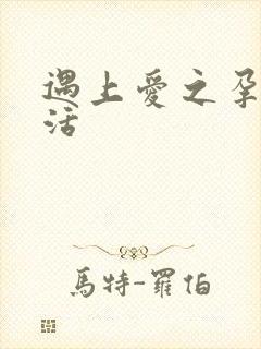 遇上爱之孕夫生活