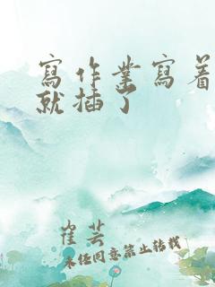 写作业写着写着就插了