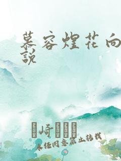 慕容煜花向晚小说