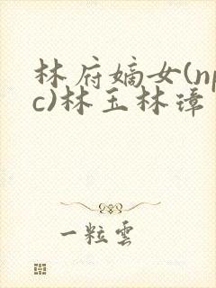 林府嫡女(npc)林玉林璋