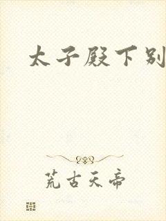 太子殿下别惹我