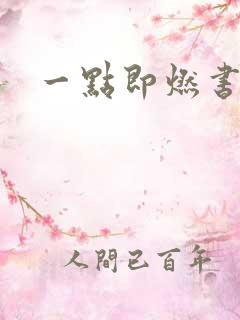 一点即燃书包网