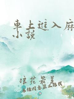 车上进入麻麻的小说